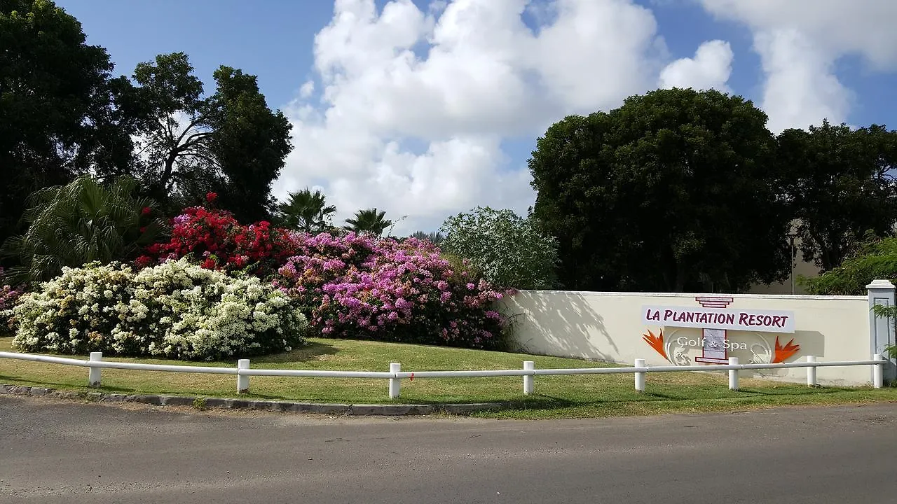 Studio Alamanda Saint-Francois